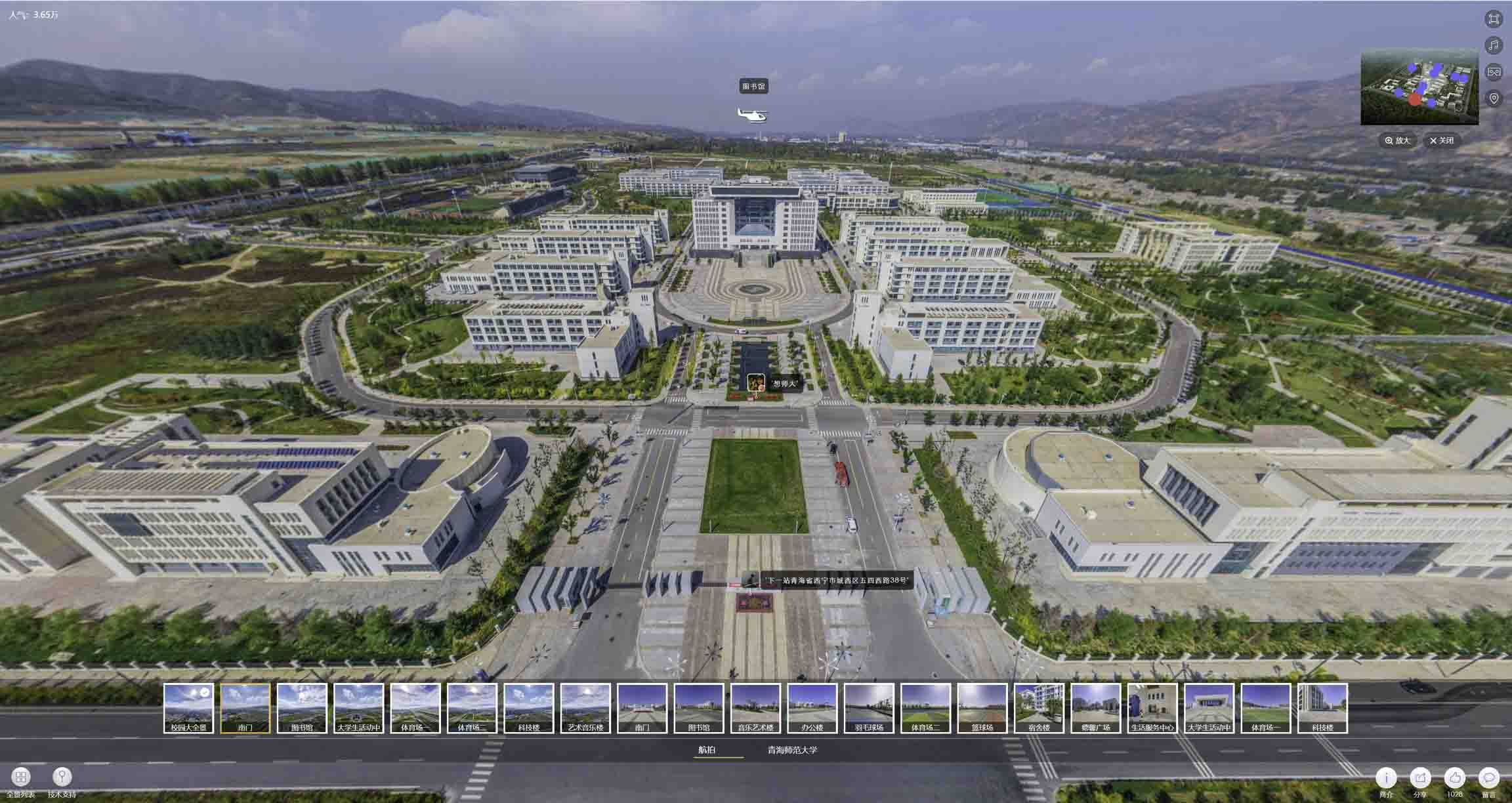 阳江镇油菜花-惊艳半生的花海仙境